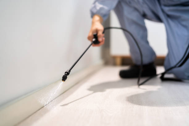 Licensed Pest Control service in Evergreen, MT - Show Me Pest Control