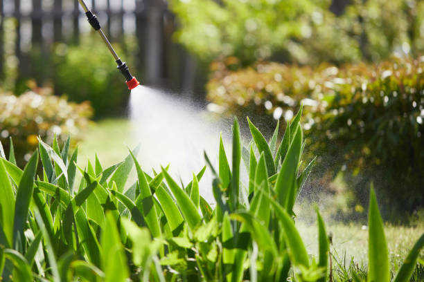 24/7 Emergency Mosquito Control experts in Evergreen, MT