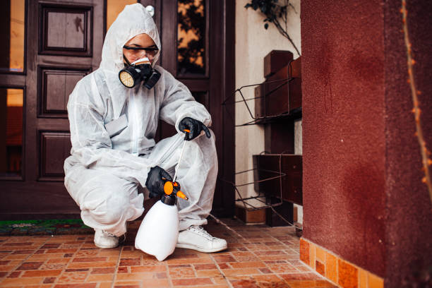 Reliable Mosquito Control contractor in Evergreen, MT by Show Me Pest Control