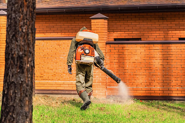 Top rated local Mosquito Control specialists in Evergreen, MT